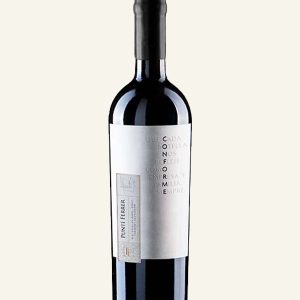 Rượu Vang Chile Conforme Punti Ferrer Cabernet Sauvignon