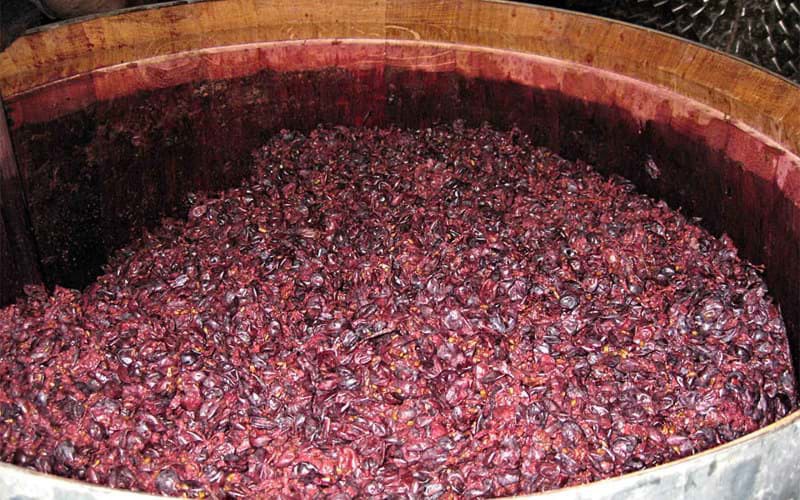 Ripasso wine