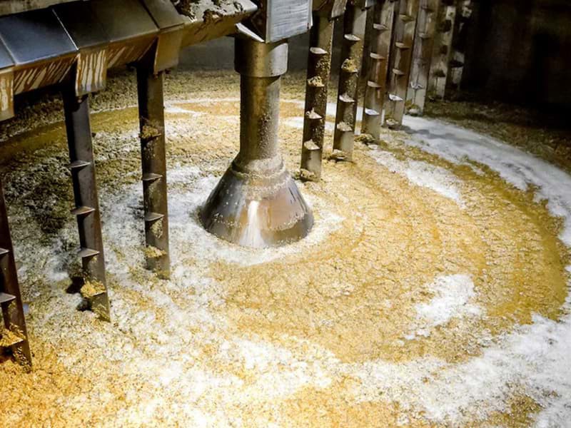Quá trình nghiền/mashing ngũ cốc trong sản xuất whisky diễn ra như thế nào?