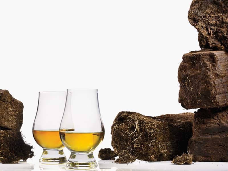 Than bùn ảnh hưởng đến hương vị rượu whisky như thế nào?