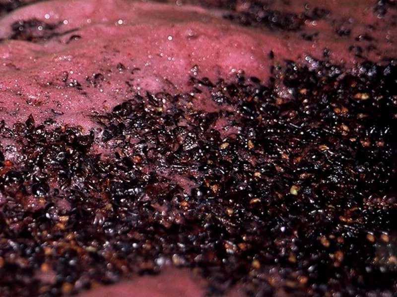 Tìm hiểu kĩ thuật sản xuất rượu vang - Carbonic maceration