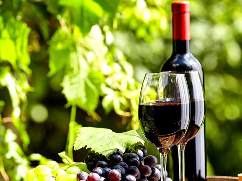 Sự khác nhau giữa phân hạng Grand Cru Classe 1855 và Grand Cru Classee Saint Emilion là gì?