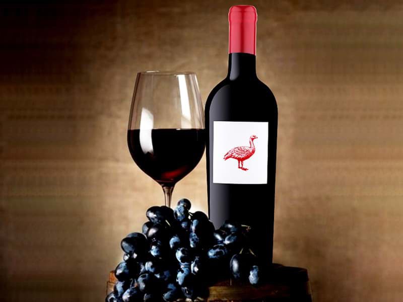 The Global Syrah Masters 2024