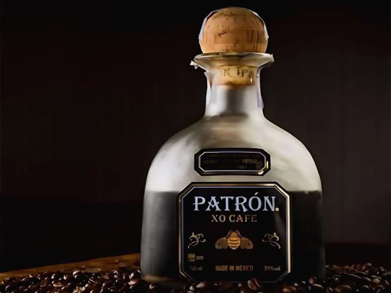 Patron XO Cafe đã quay trở lại