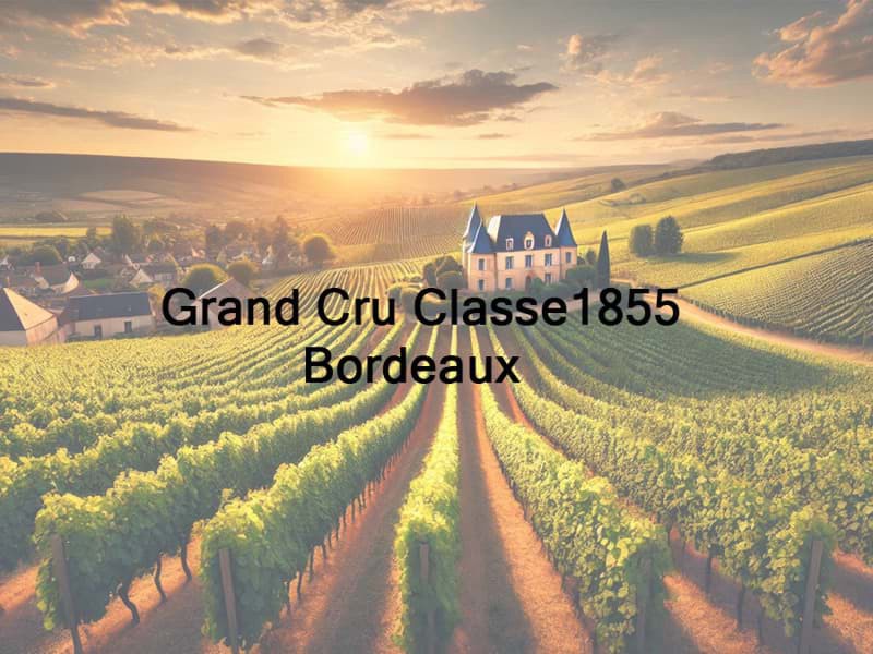 Phân hạng rượu vang Pháp Grand Cru Classe 1855 - Bordeaux