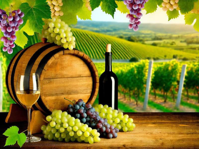Những điều cơ bản bạn cần biết về rượu vang