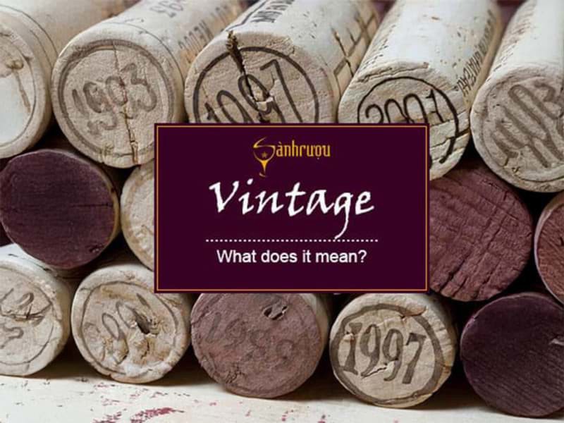 Rượu vang: Niên vụ (vintage)