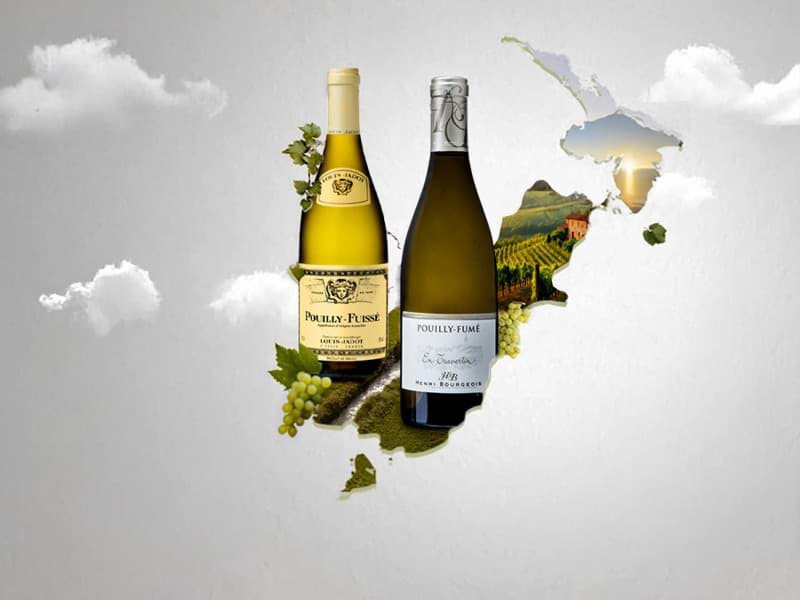 Sự khác nhau giữa Pouilly-fume và Pouilly-fuisse là gì?