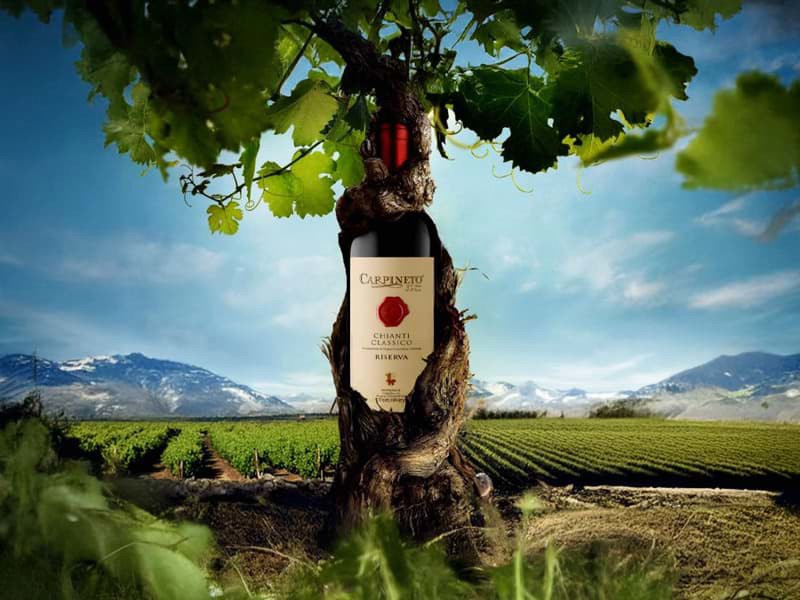 Chianti classico