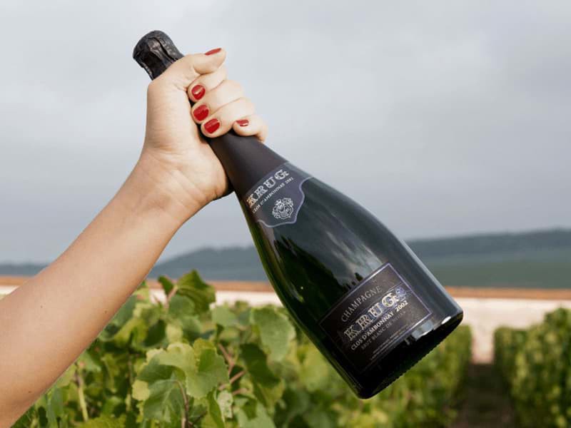 Champagne Krug Clos d