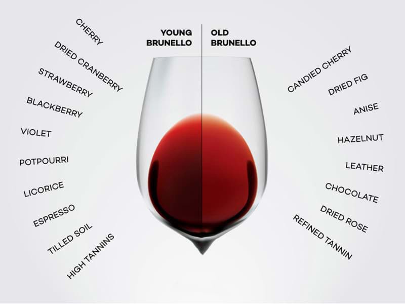 Hương vị rượu vang Brunello di Montalcino