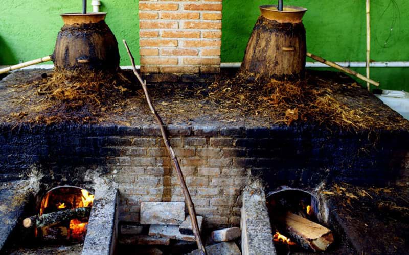 Chưng cất rượu Mezcal