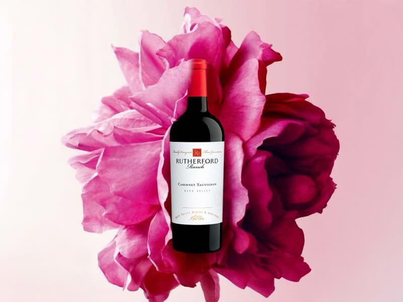 Vì sao các nhà sản xuất rượu vang & người yêu rượu say mê Cabernet Sauvignon