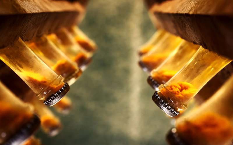 Ủ trên lees/cặn men – Bí quyết góp phần tạo nên chiều sâu và kết cấu rượu vang