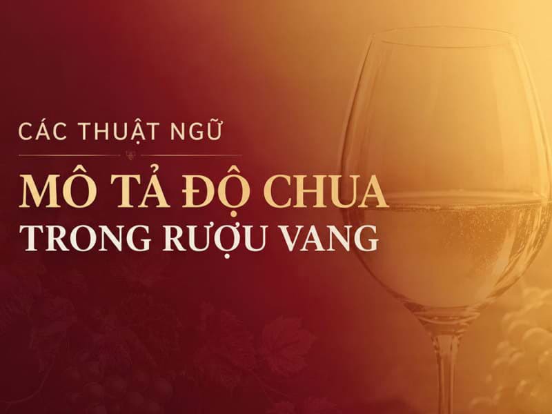 Các thuật ngữ mô tả độ chua trong rượu vang