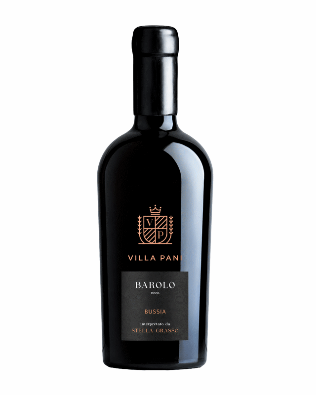 Villa Pani Barolo Bussia