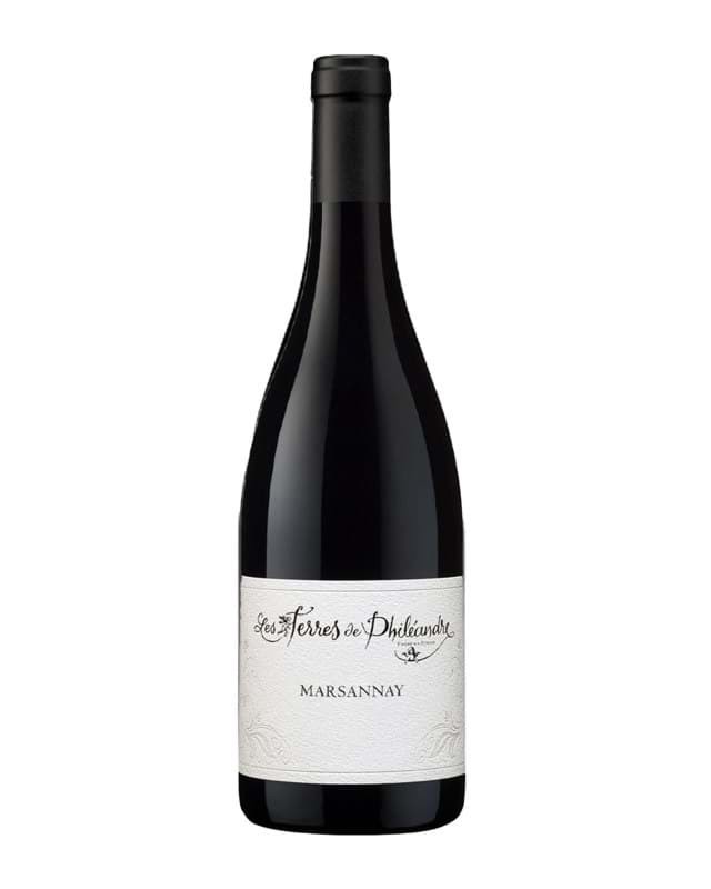 Vang Les Terres de Phileandre Marsannay