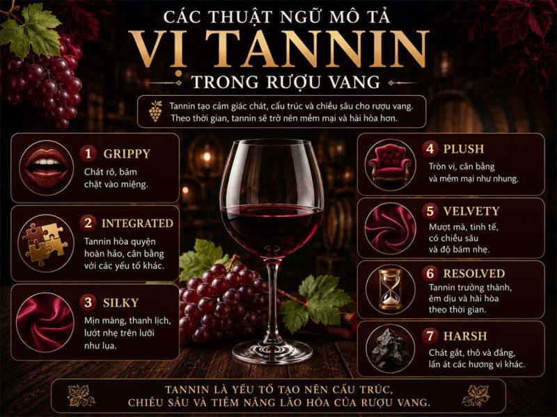Các thuật ngữ mô tả vị Tannin trong rượu vang