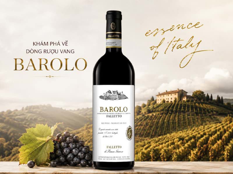 Khám phá về dòng rượu vang Barolo