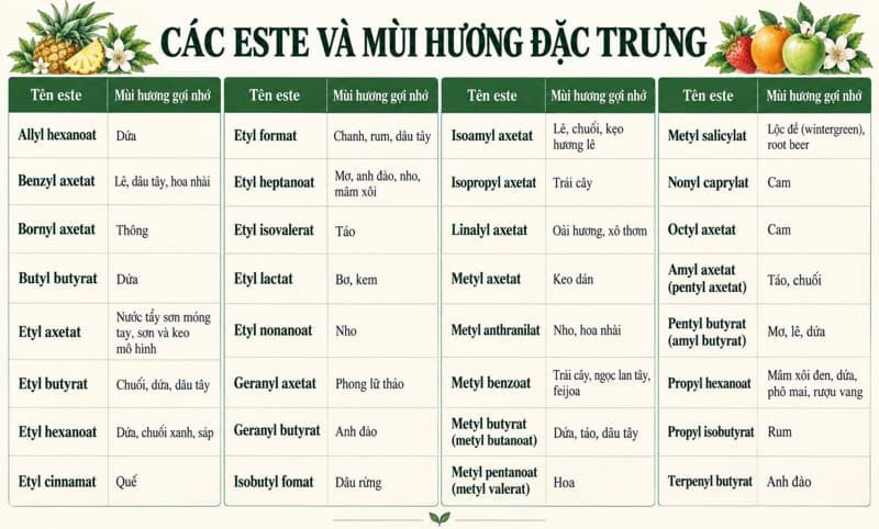 Hương của các loại este