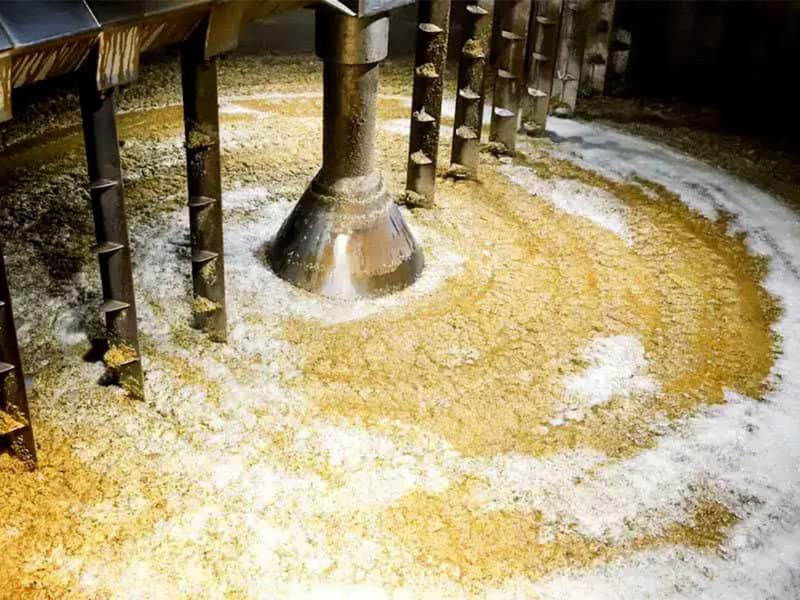Hương vị lên men của rượu whisky