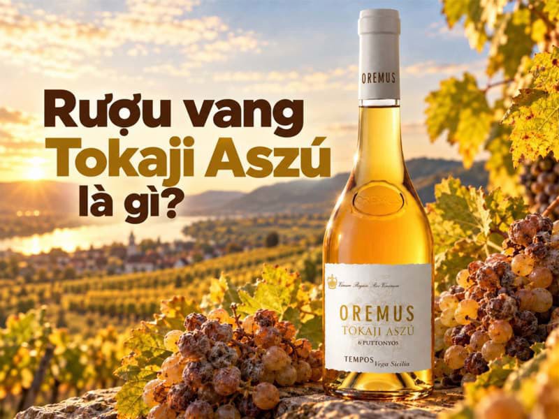 Tìm hiểu về dòng rượu vang Tokaji Aszu