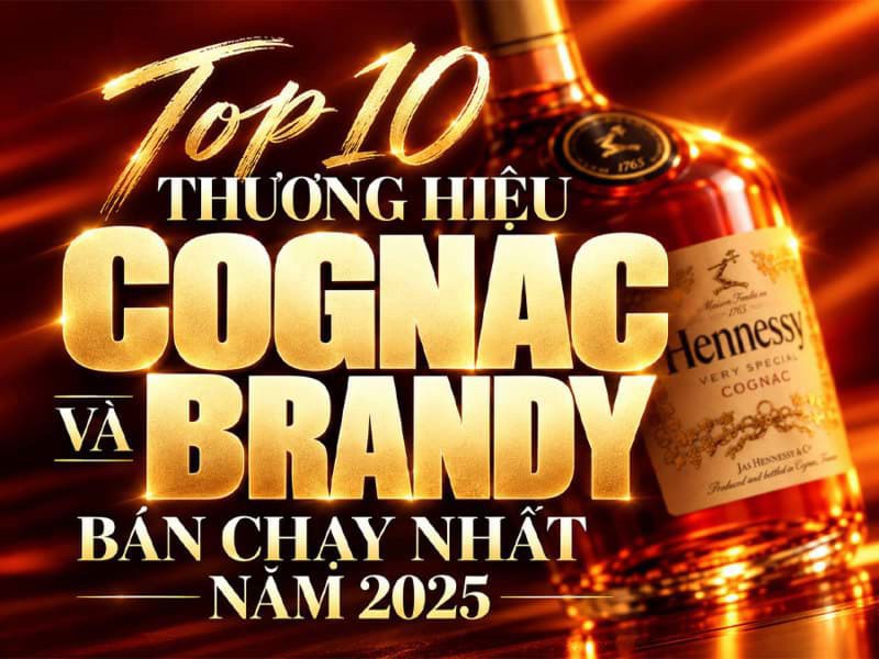 Top 10 thương hiệu Cognac và Brandy bán chạy nhất năm 2025