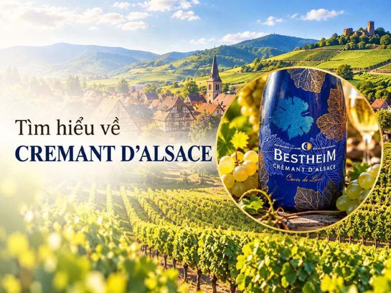 Tìm hiểu về rượu Cremant d'Alsace