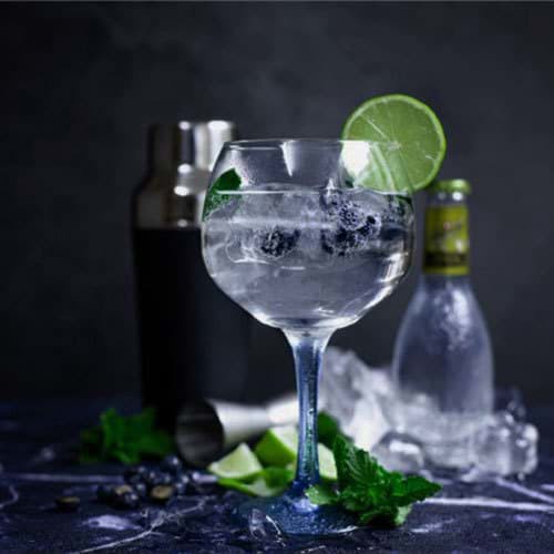Top 8 thương hiệu Gin bán chạy nhất năm 2021