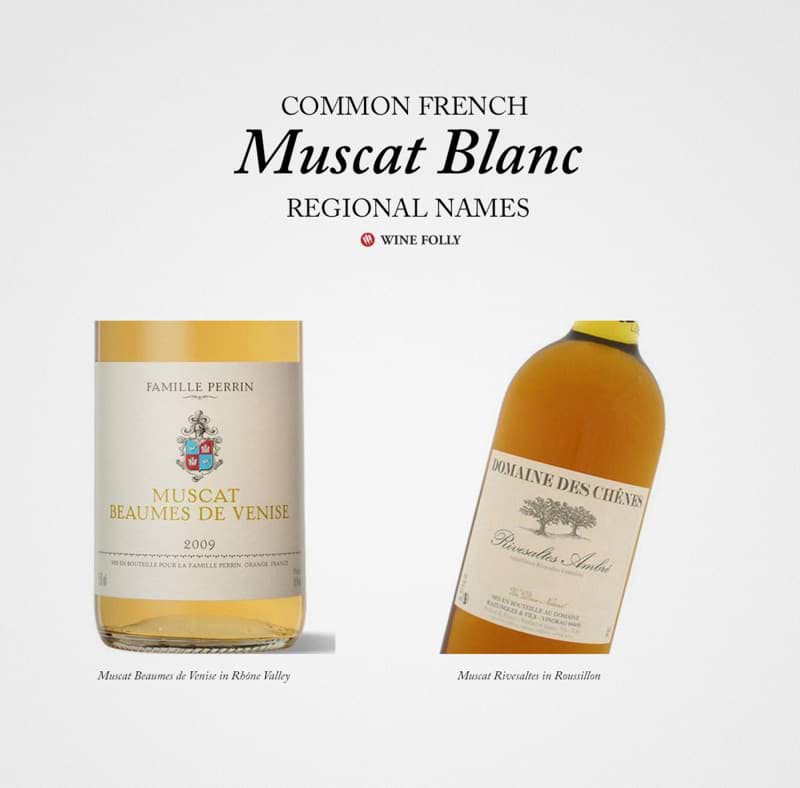 vang trắng Pháp Muscat Blanc