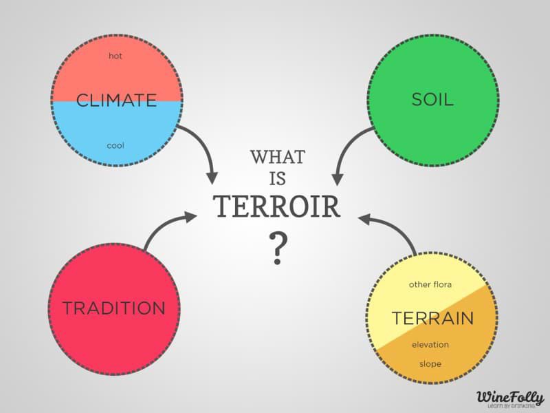 Terroir